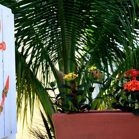 Hotel Gota De Sal Puerto Morelos Exterior photo